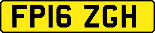 FP16ZGH