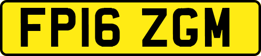 FP16ZGM
