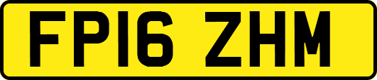 FP16ZHM