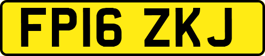 FP16ZKJ