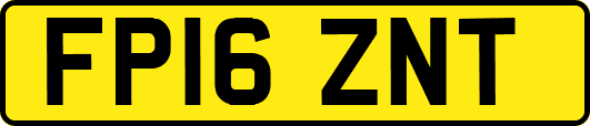 FP16ZNT