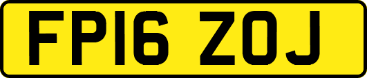 FP16ZOJ
