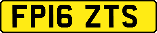 FP16ZTS