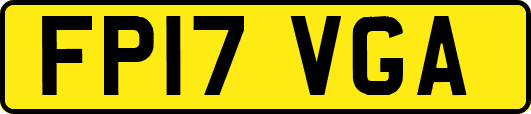FP17VGA