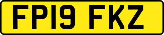 FP19FKZ