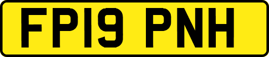 FP19PNH