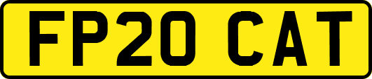 FP20CAT