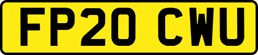 FP20CWU