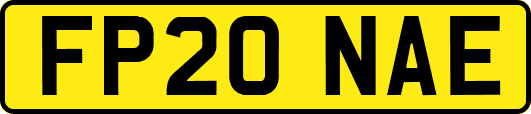 FP20NAE