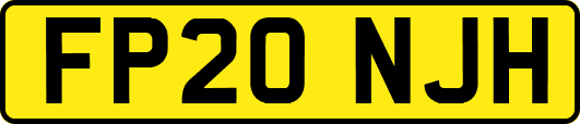 FP20NJH