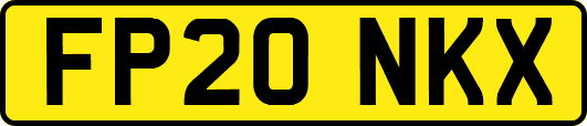 FP20NKX