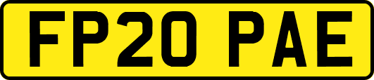 FP20PAE
