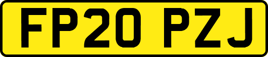 FP20PZJ