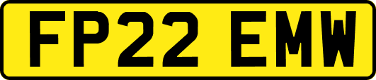 FP22EMW