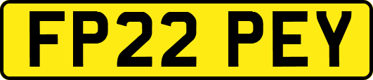 FP22PEY