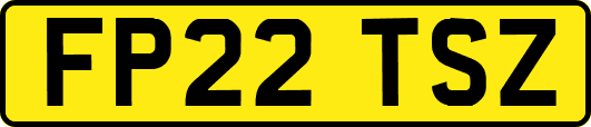 FP22TSZ