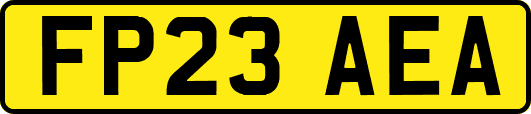 FP23AEA