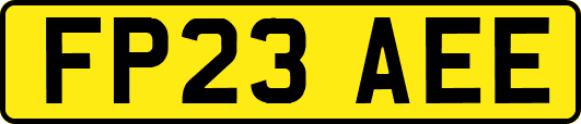 FP23AEE