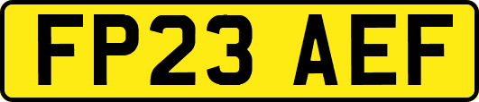 FP23AEF