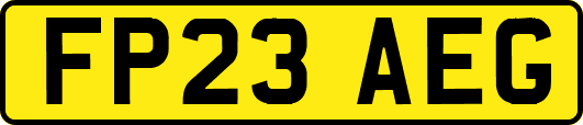 FP23AEG