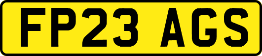 FP23AGS