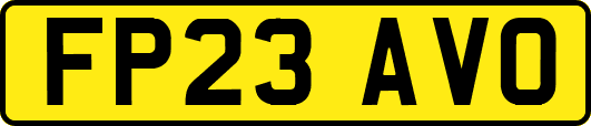 FP23AVO