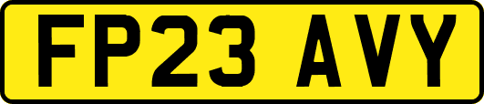 FP23AVY
