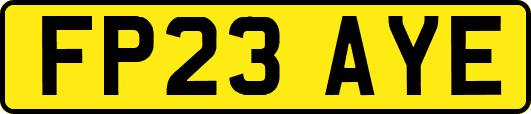 FP23AYE