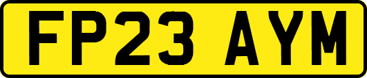FP23AYM