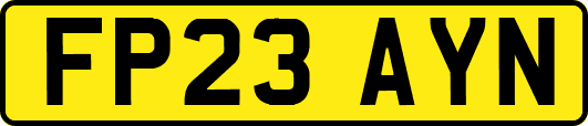 FP23AYN