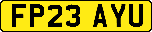 FP23AYU