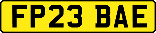FP23BAE