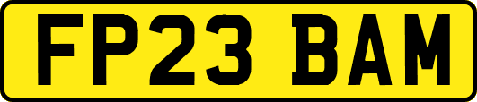 FP23BAM