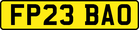 FP23BAO