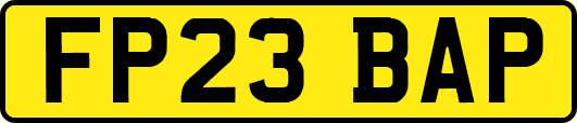 FP23BAP