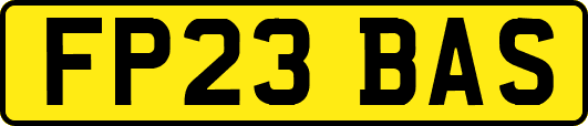 FP23BAS