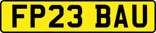 FP23BAU