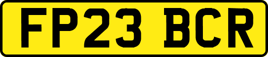 FP23BCR