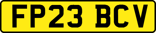 FP23BCV