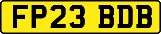 FP23BDB