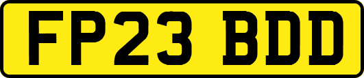 FP23BDD