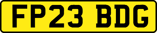 FP23BDG