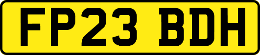 FP23BDH