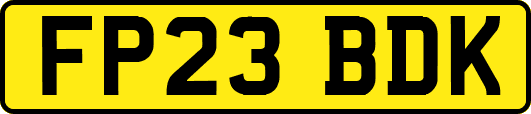 FP23BDK