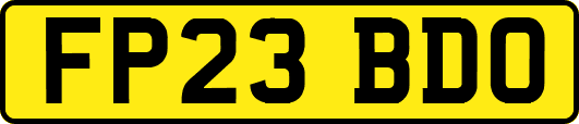 FP23BDO