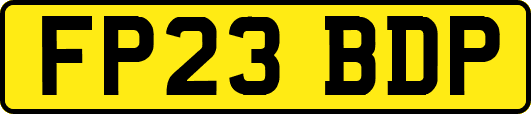FP23BDP