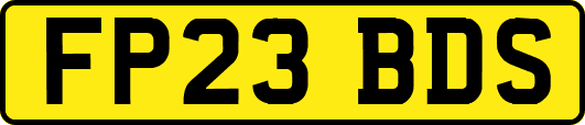 FP23BDS