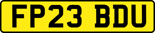 FP23BDU