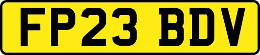 FP23BDV