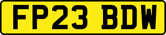 FP23BDW